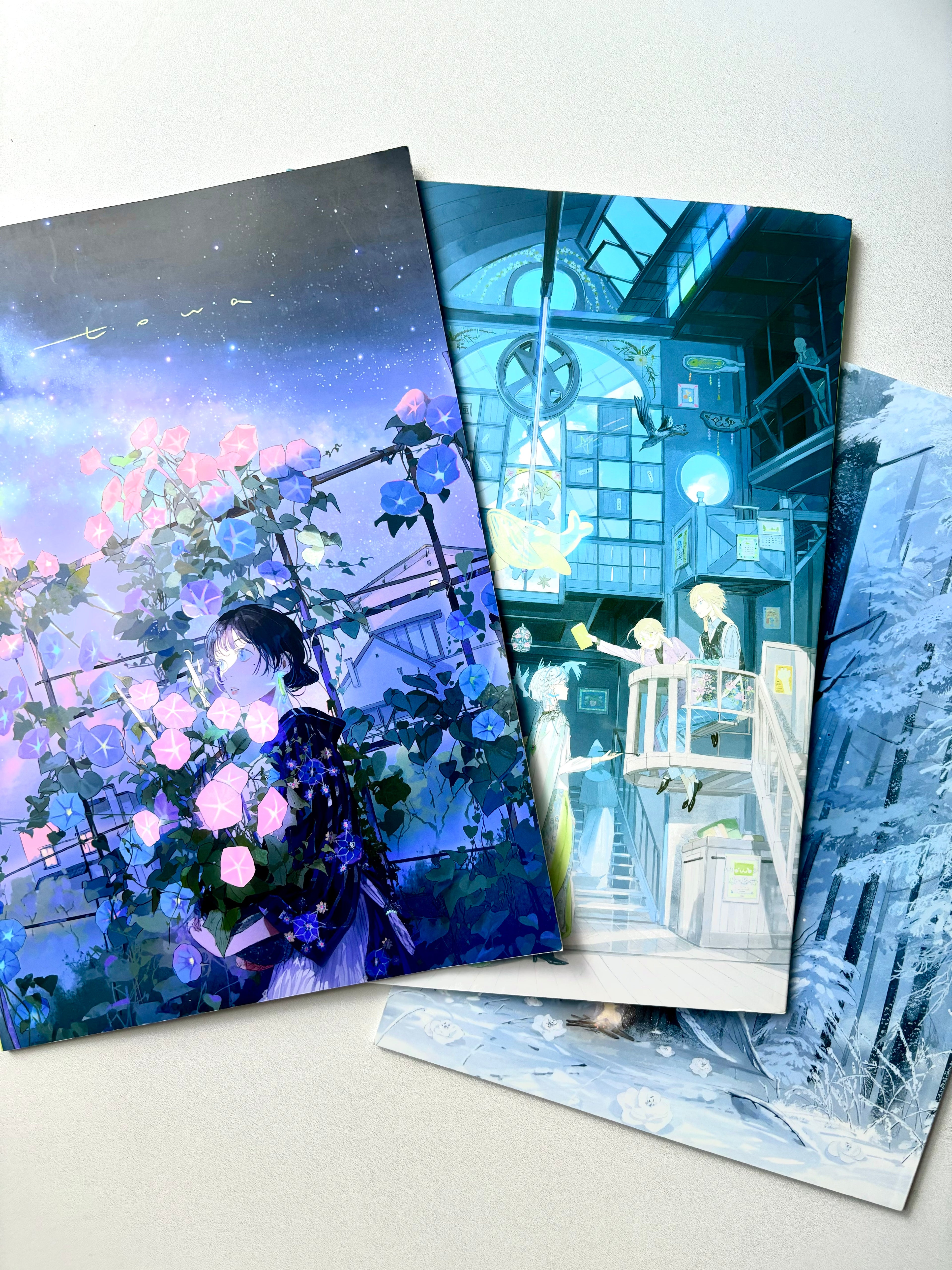 illumi Artbook Collection (3 Books + Bonus Items)